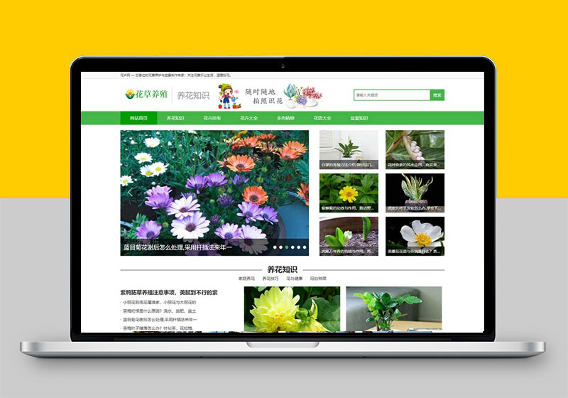 (PC+WAP)花卉养殖新闻资讯类绿色花草植物网站